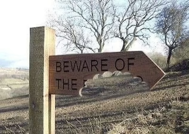 有告示牌叫人小心「XX」,但該字似乎已被「XX」咬掉。(互聯網)