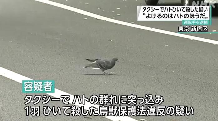 案發的新宿區馬路上有鴿子覓食。(互聯網)