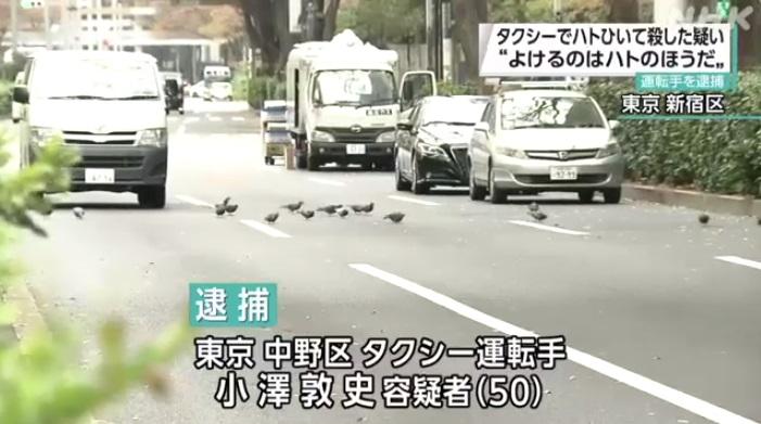 案發的新宿區馬路上出現鴿群。(互聯網)