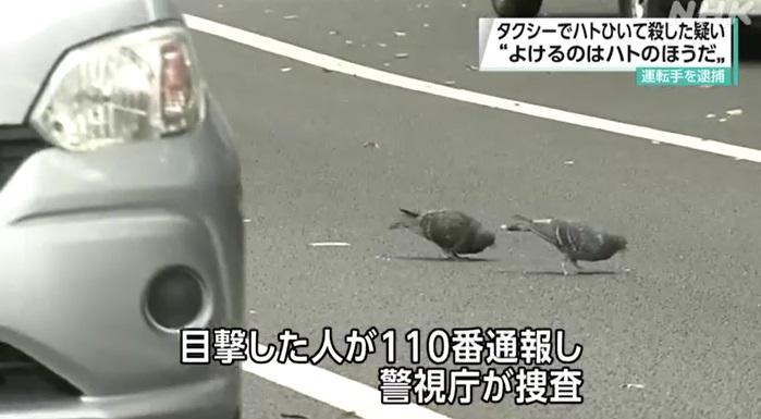 案發的新宿區馬路上有野鴿覓食。(互聯網)