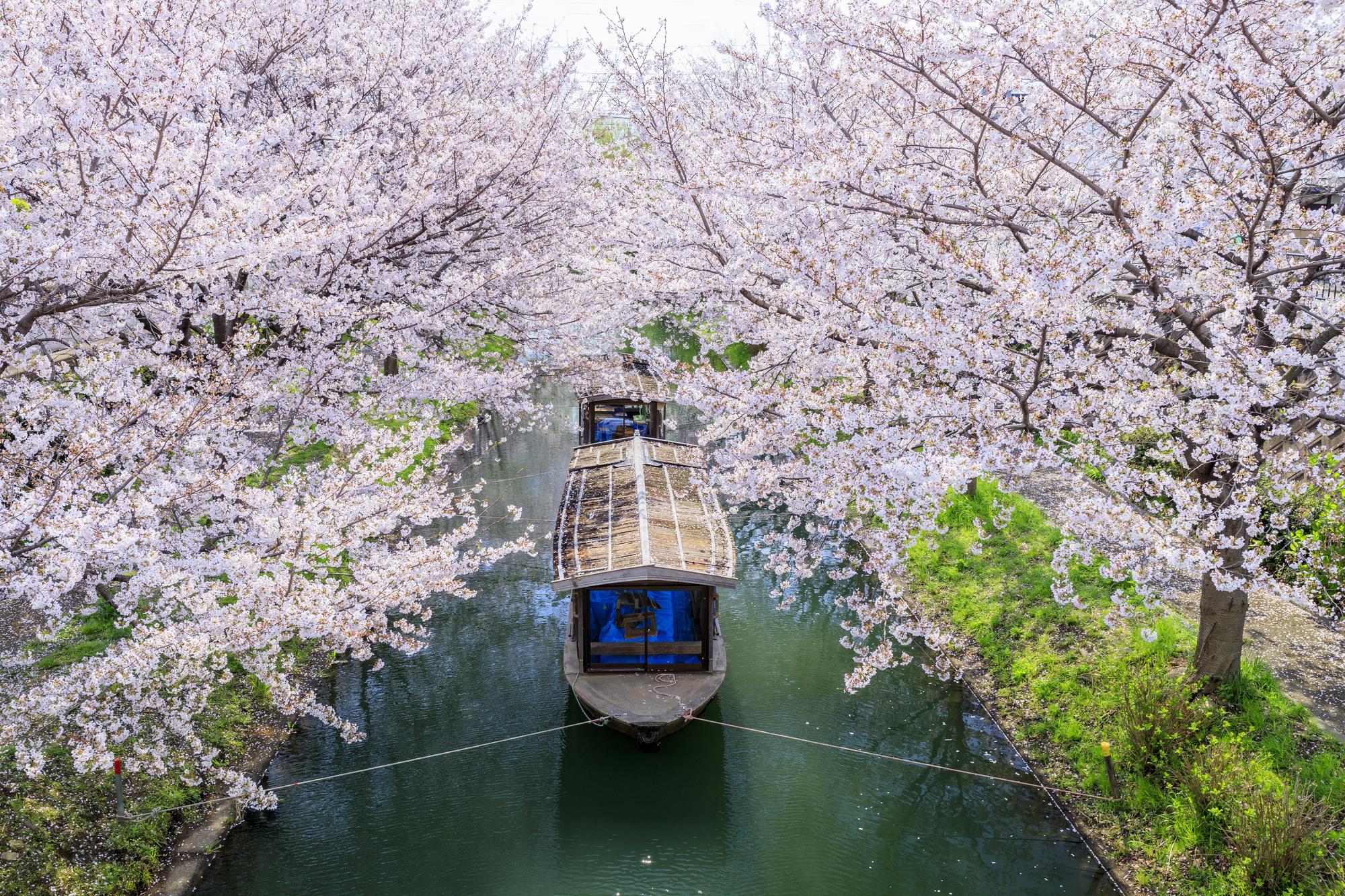 京都伏見十石舟