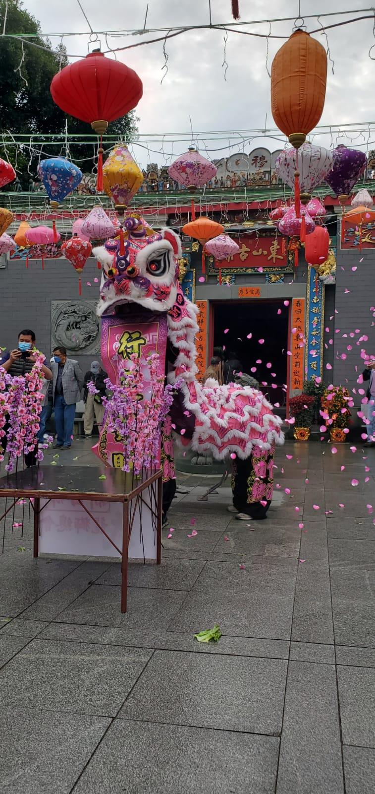元宵廟會有舞獅助慶,增添氣氛。