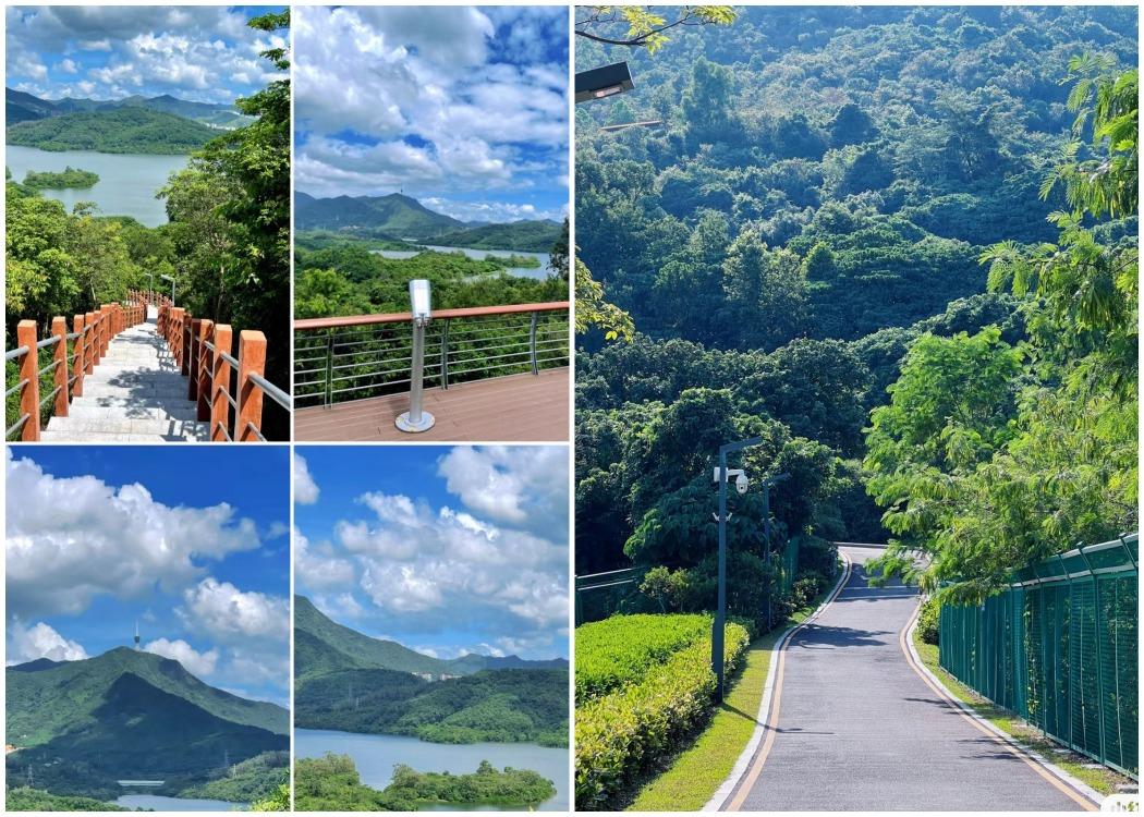 深圳羅湖區淘金山綠道。(網上圖片)