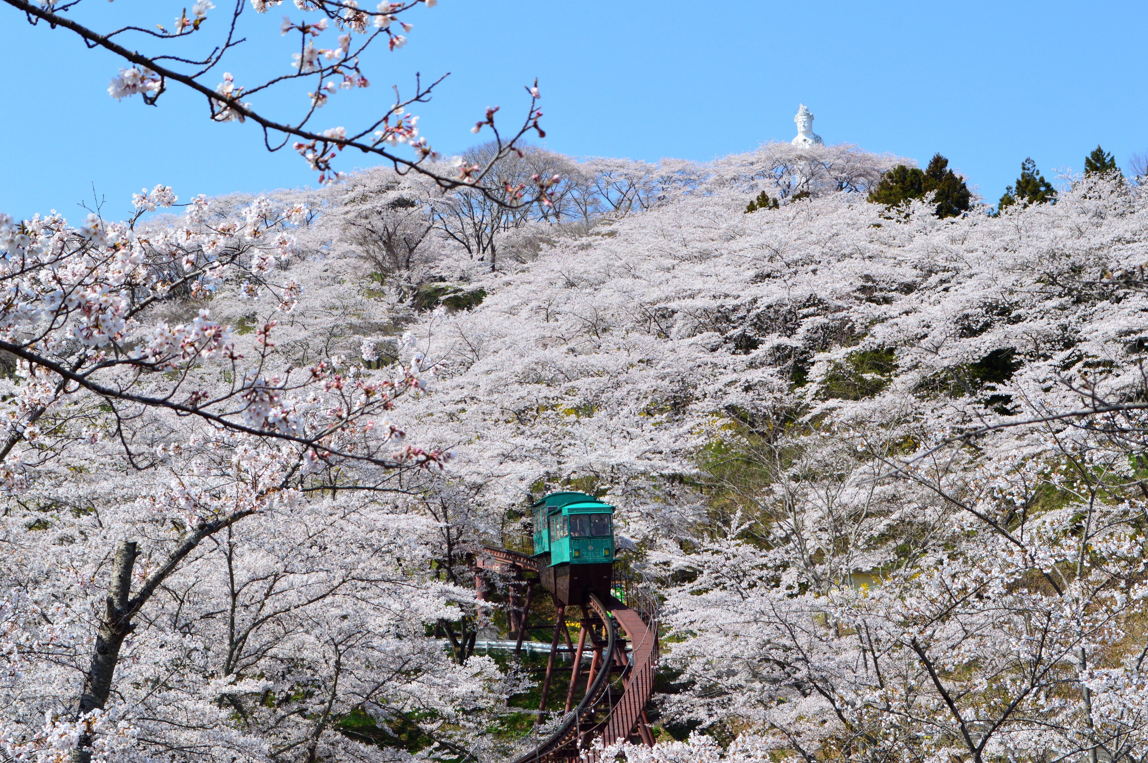 宮城船岡城址公園