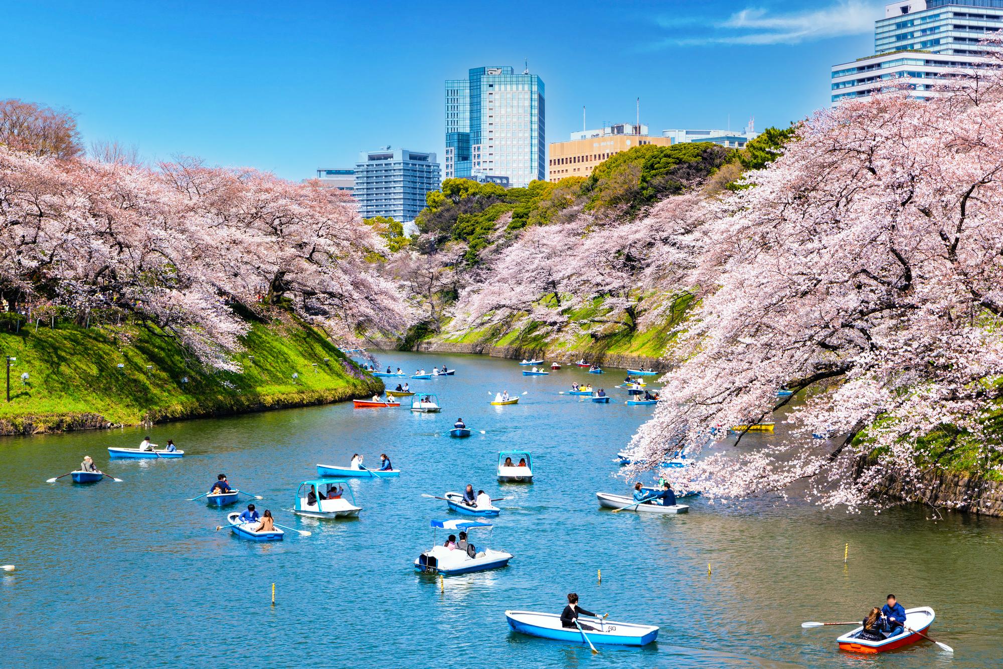 東京千鳥淵綠道
