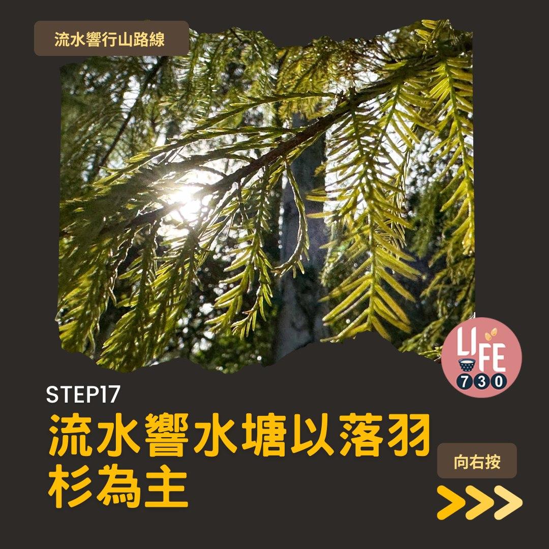 流水響紅葉、天空之鏡等3大景點 零難度行山路線(am730製圖)