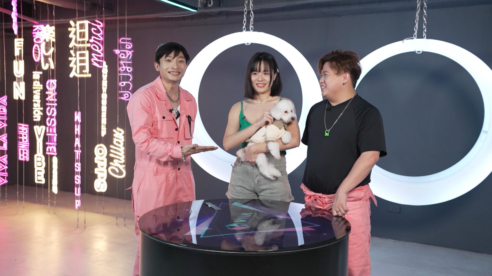 ERROR肥仔和Dee哥訪問性感女網紅「寶7」,同時是寵物美容店的老闆娘。