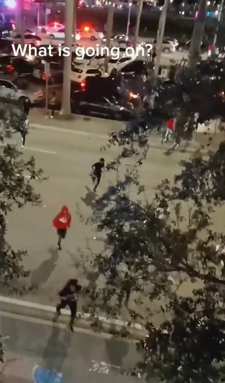 警方指當晚有青少年騷亂,並放煙花令公眾以為發生槍擊,才有大量警車到場。(互聯網)