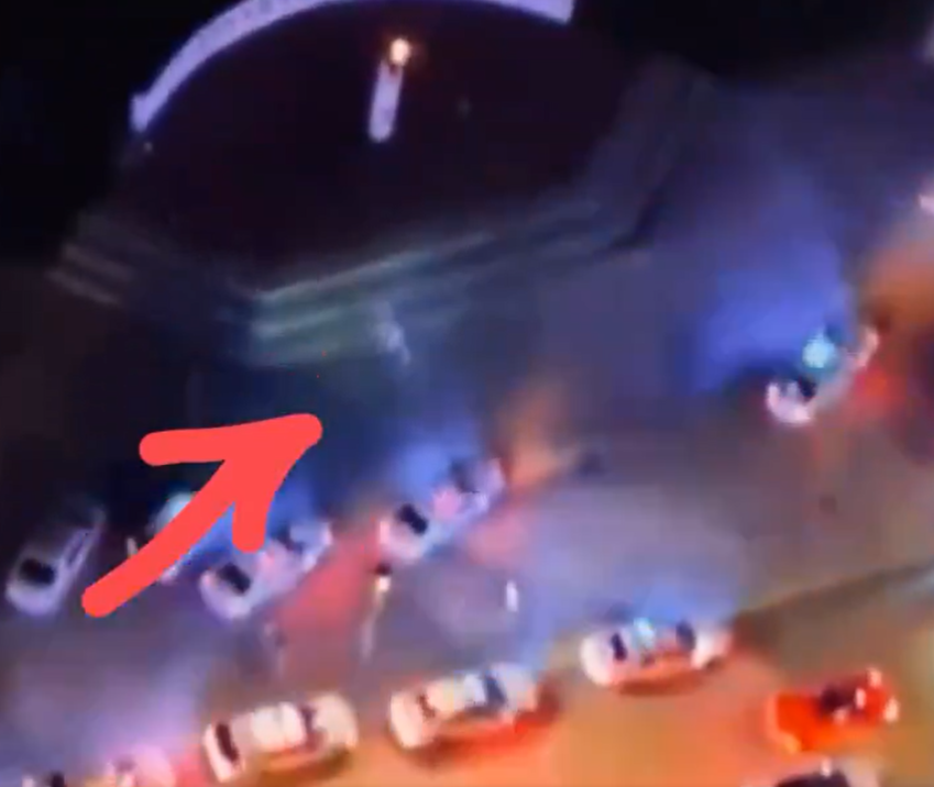 引發爭議的「邁亞密外星人」。(互聯網)