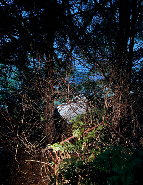 阿拉斯加航空一架波音737 MAX 9客機在高空飛脫的嵌入式艙門,已在波特蘭一間住宅的後院尋回。(路透社)