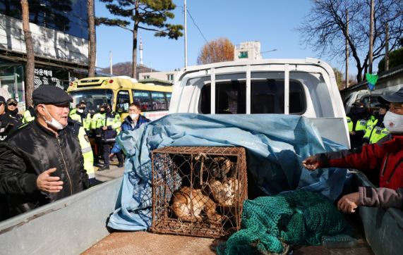 南韓國會通過法案 2027年全面禁食狗肉(資料圖片)