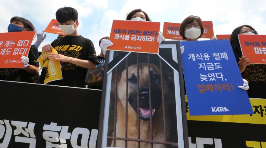 南韓國會通過法案 2027年全面禁食狗肉(資料圖片)