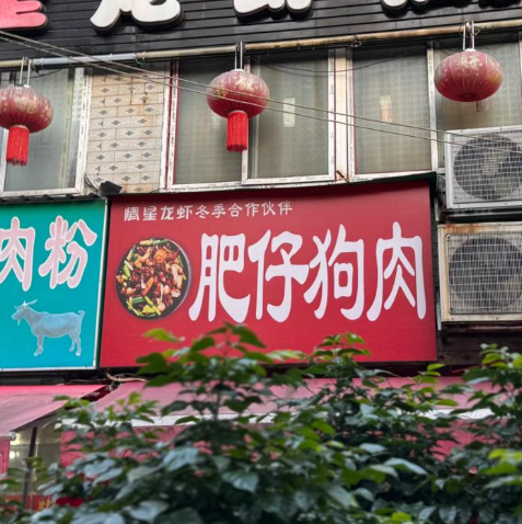 (圖片來源:小紅書)