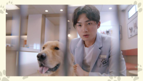 質疑反狗肉人士及一眾愛狗人士無疑是扮有道德,「口口聲聲話愛狗,有冇諗過隻狗想唔想俾你養」、「要佢聽聽話話比手手先有野食,咁叫愛?你地當佢玩具咋,憑咩將自己放喺道德高地?」(圖片來源:TVB《寵愛Pet Pet》劇照)