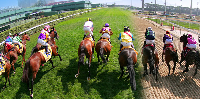 澳門政府公布由4月1日起,解除澳門賽馬會專營批給合同。(澳門賽馬會圖片)