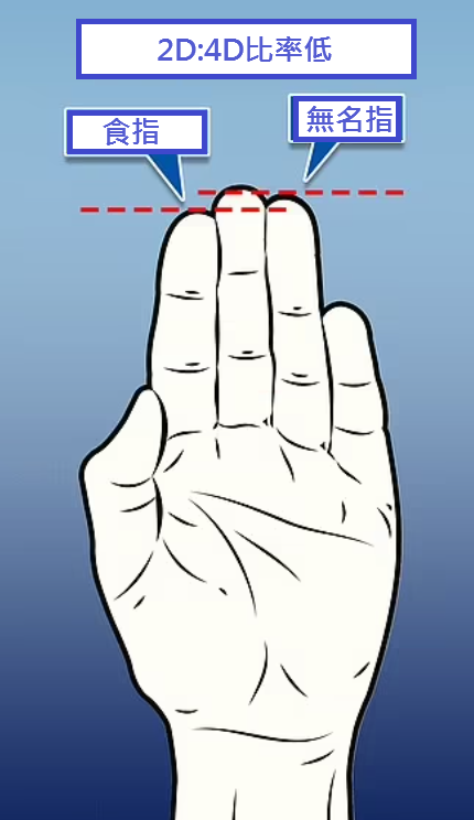 2D:4D比率低,代表無名指長過食指。(互聯網)
