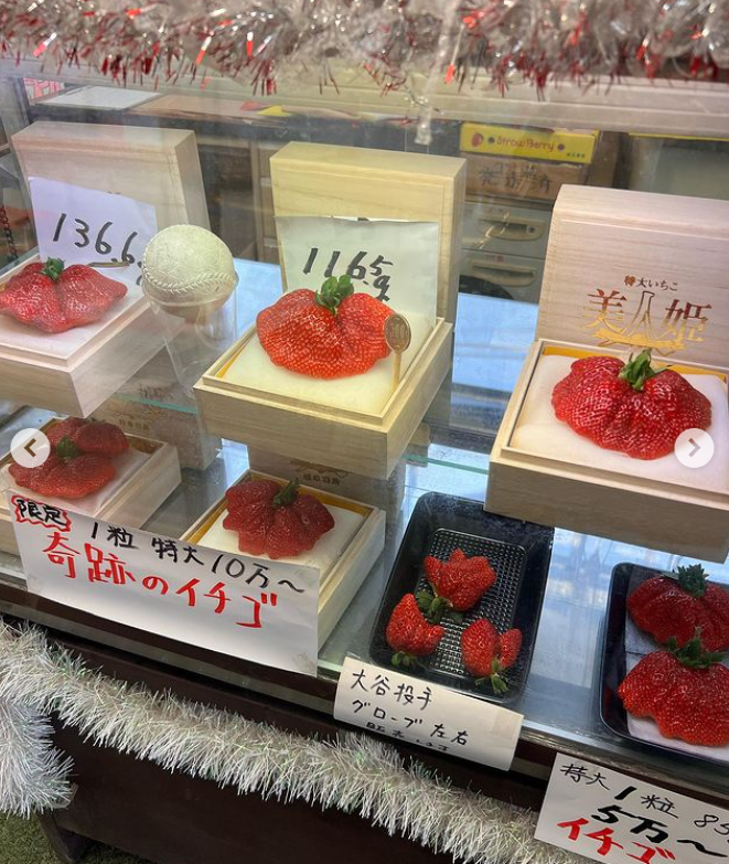 有網民在有民眾在IG發布攝自奧田農園直銷店的照片,可見農場陳列了幾粒「特大美人姬」。(互聯網)