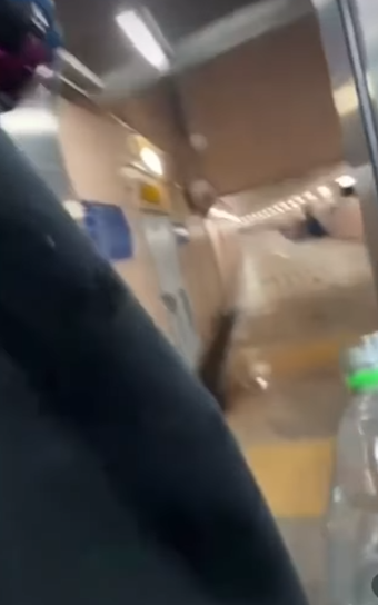 網上流傳影片可見,數名年輕人在跑馬地一條行人隧道向露宿者淋潑清水及可樂後,立即跑走逃去。(網上影片截圖)