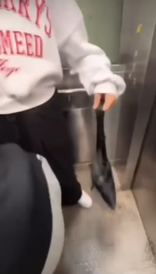 網上流傳影片可見,數名年輕人在跑馬地一條行人隧道向露宿者淋潑清水及可樂後,立即跑走逃去。(網上影片截圖)