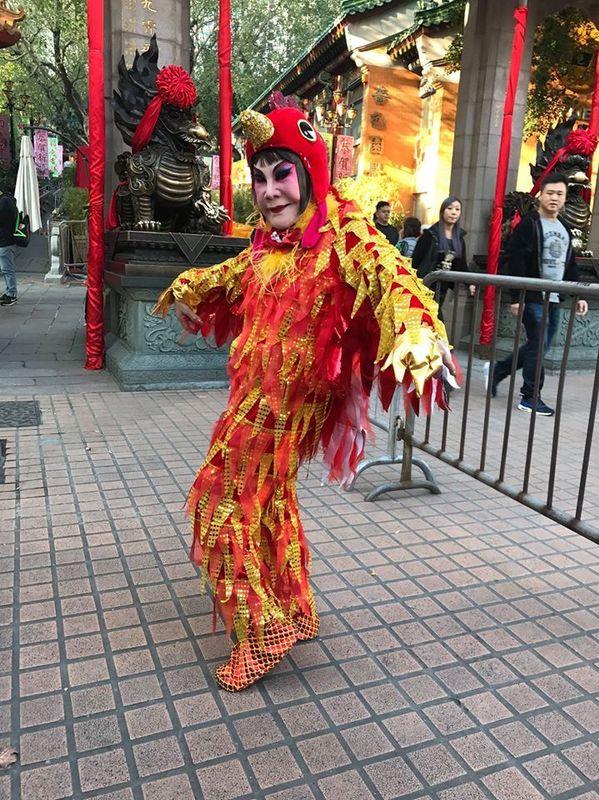 黃夏蕙生肖造型|雞年