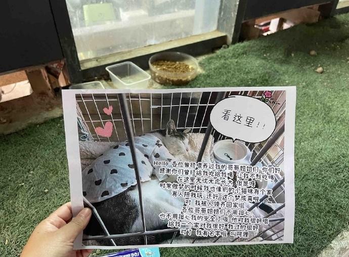 其他收編告示。(微博)