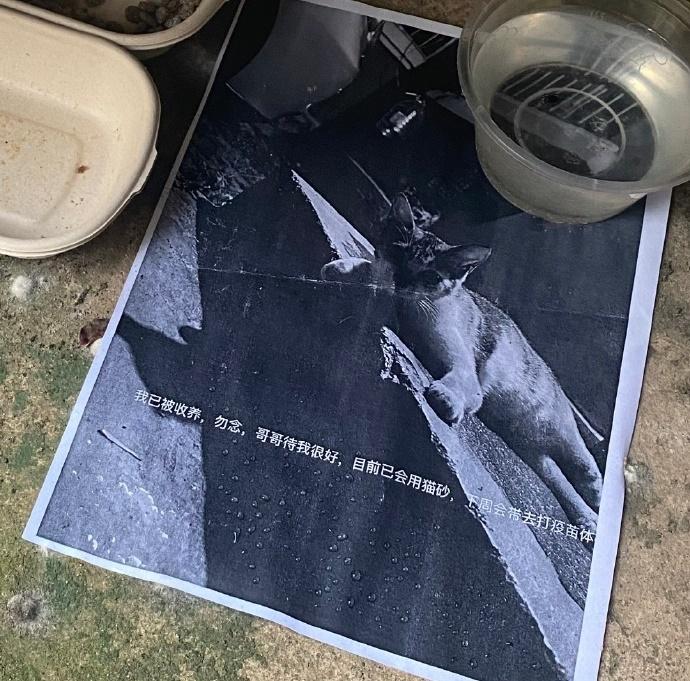 其他收編告示。(微博)