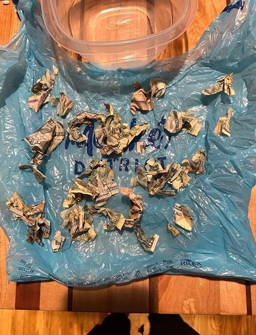 瘋狂「洗錢」和拼圖。(IG)