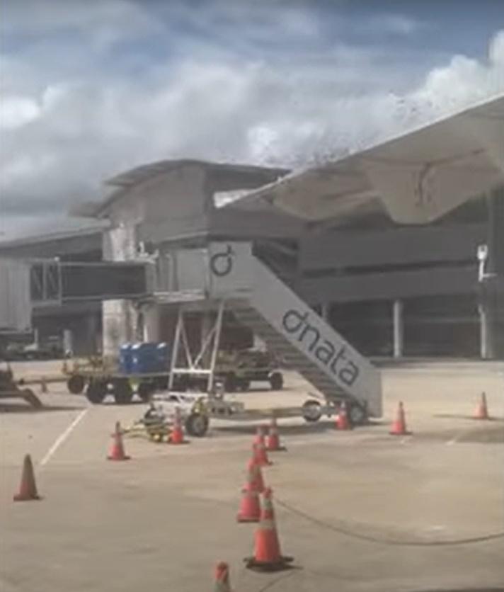 蜂群沒有要離開的打算,機組人員擔心蜂群可能會對乘客安全造成影響,遂聯絡控制塔求助。(YouTube)