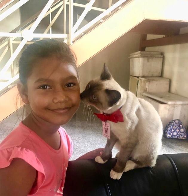 有客人來的時候都很安靜趴在一邊休息或是聽人講話。(X)