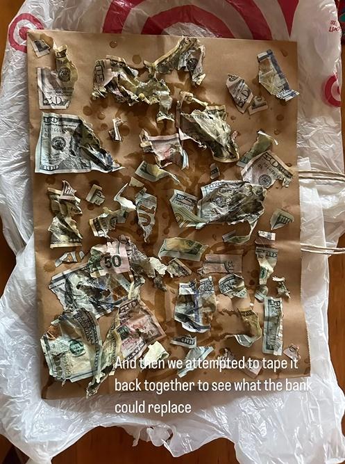 瘋狂「洗錢」和拼圖。(IG)