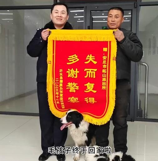 飼主帶著這3隻狗母子回到派出所,送上錦旗。(微博)