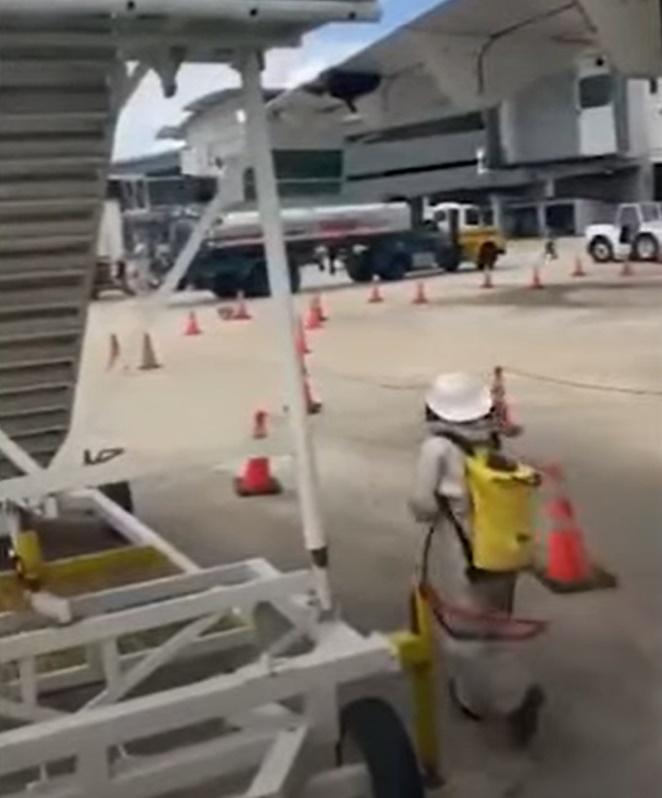 消防員穿上保護裝備,亦花了好一段時間才能驅走蜂群。(YouTube)