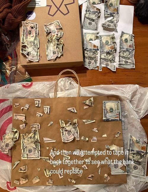 瘋狂「洗錢」和拼圖。(IG)