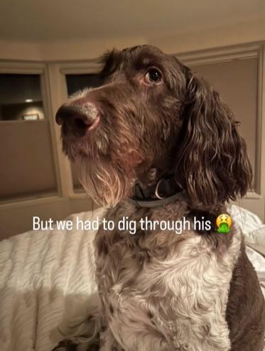 他們說,不會因此對Cecil生氣,反倒覺得這是很奇特的人生經驗。(IG)