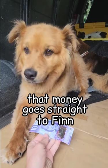 將回收品帶到回收場換錢。(IG)