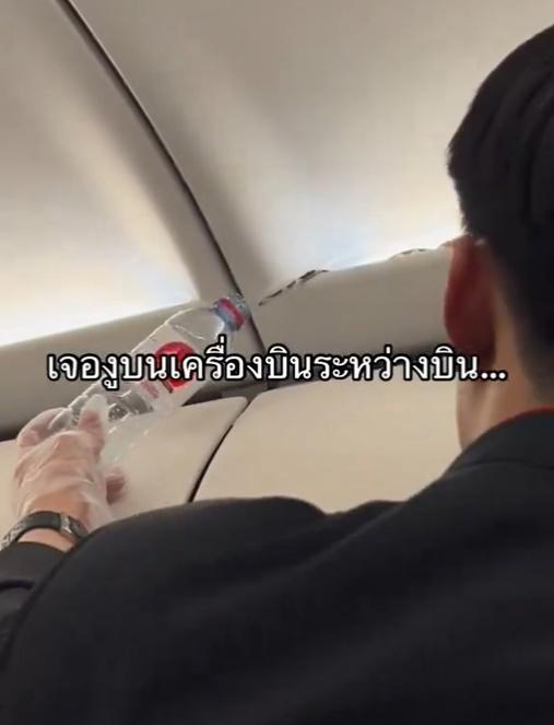 一名空少最初拿來一個已打開樽蓋的膠樽,將樽口對著小蛇企圖引導牠進入。(X)