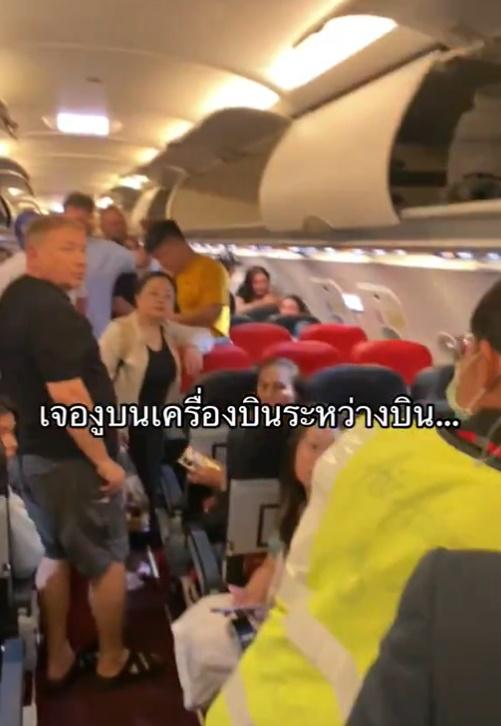 報道指,飛機順利降落在布吉後,地勤人員隨即登機搜查乘客們的隨身行李,檢查是否有人走私生物。(X)