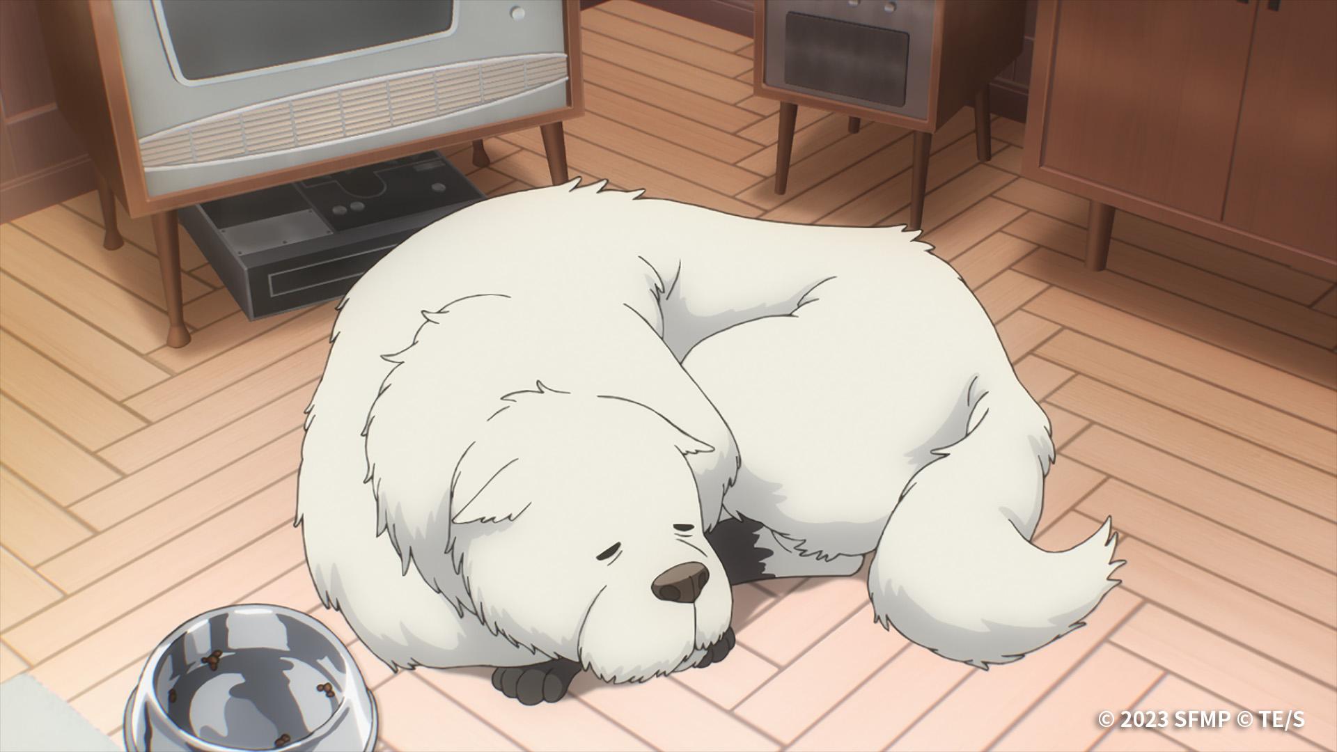 《SPY×FAMILY CODE: White》每次聽到他們叫寵物狗為Pond都感受到一份戲謔的鬼馬。