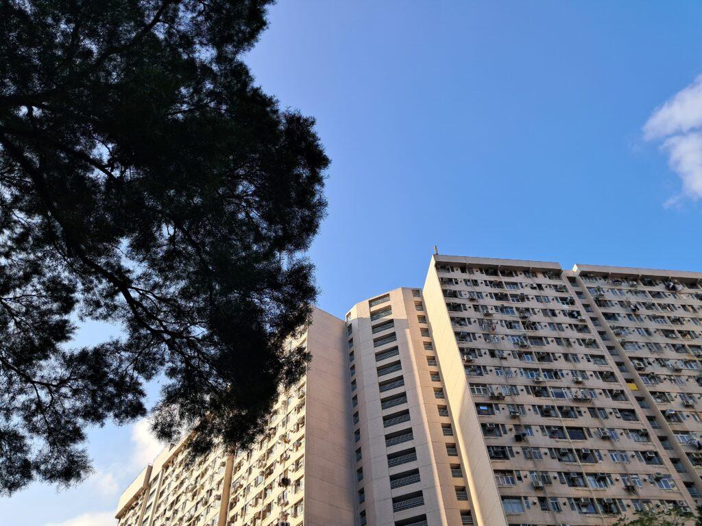 Samsung Galaxy A25 5G 相機攝影實測