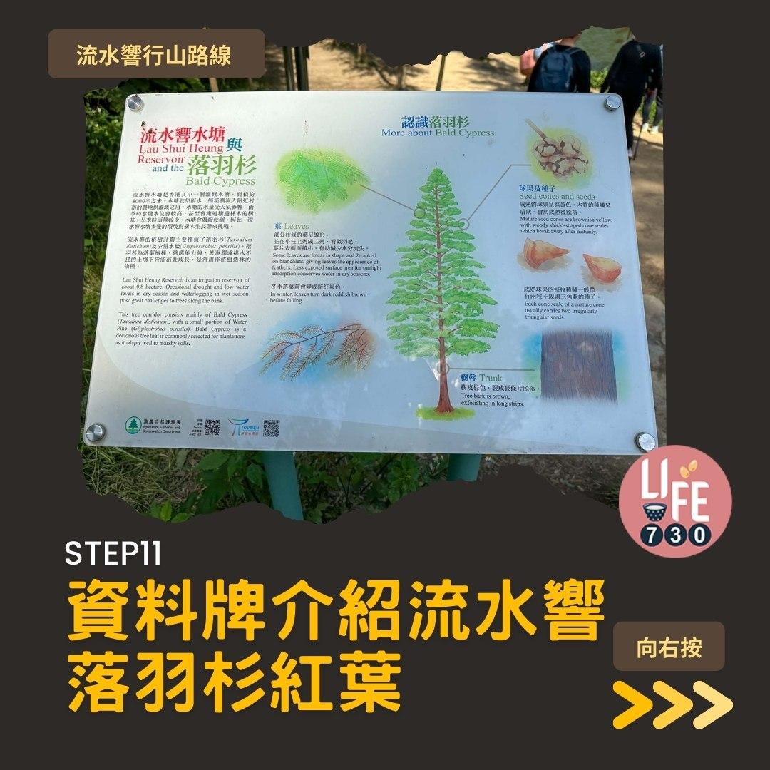 流水響紅葉、天空之鏡等3大景點 零難度行山路線(am730製圖)