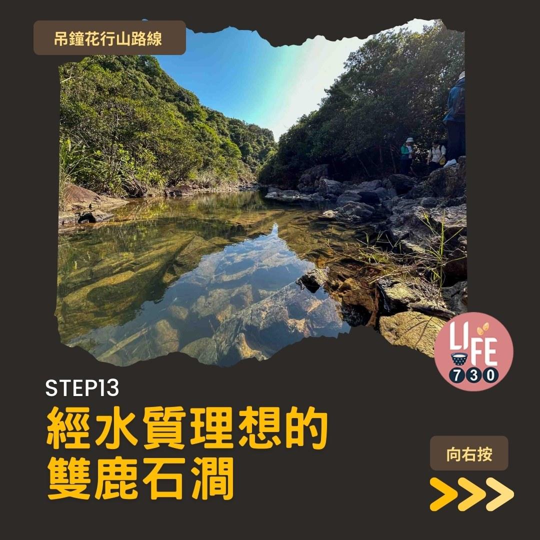 吊鐘花行山路線︱鹿湖郊遊徑大枕蓋農曆新年行大運(am730製圖)