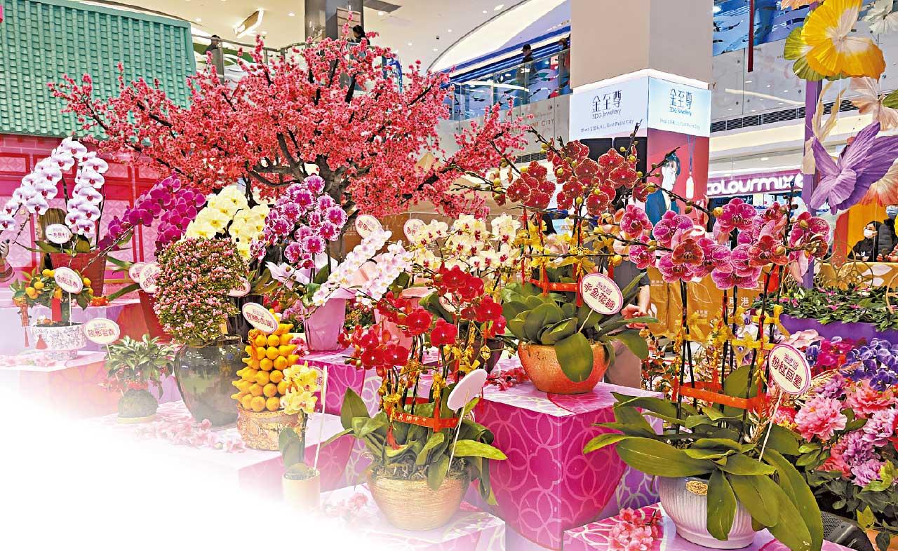 將軍澳東港城第十八屆新春花展會