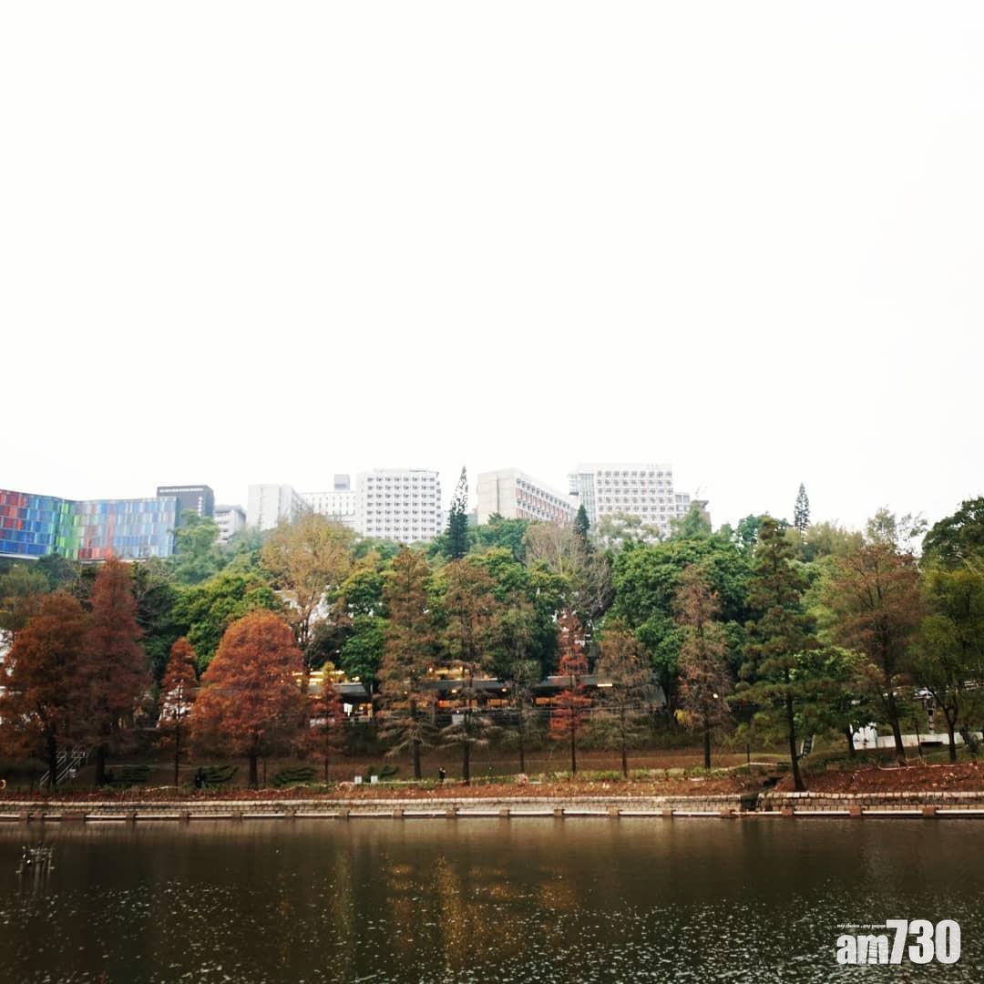 紅葉好去處,即使不是中大學生,也有很多人專登去打卡。(圖片來源:instagram@manvinkk)