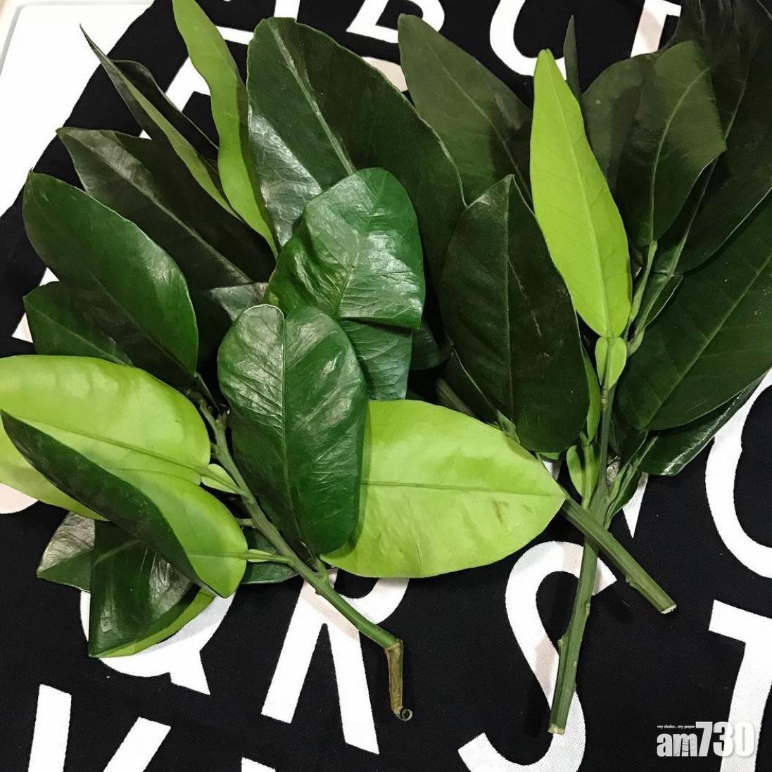 新年習俗|不少人會在年三十晚準備碌柚葉洗澡。