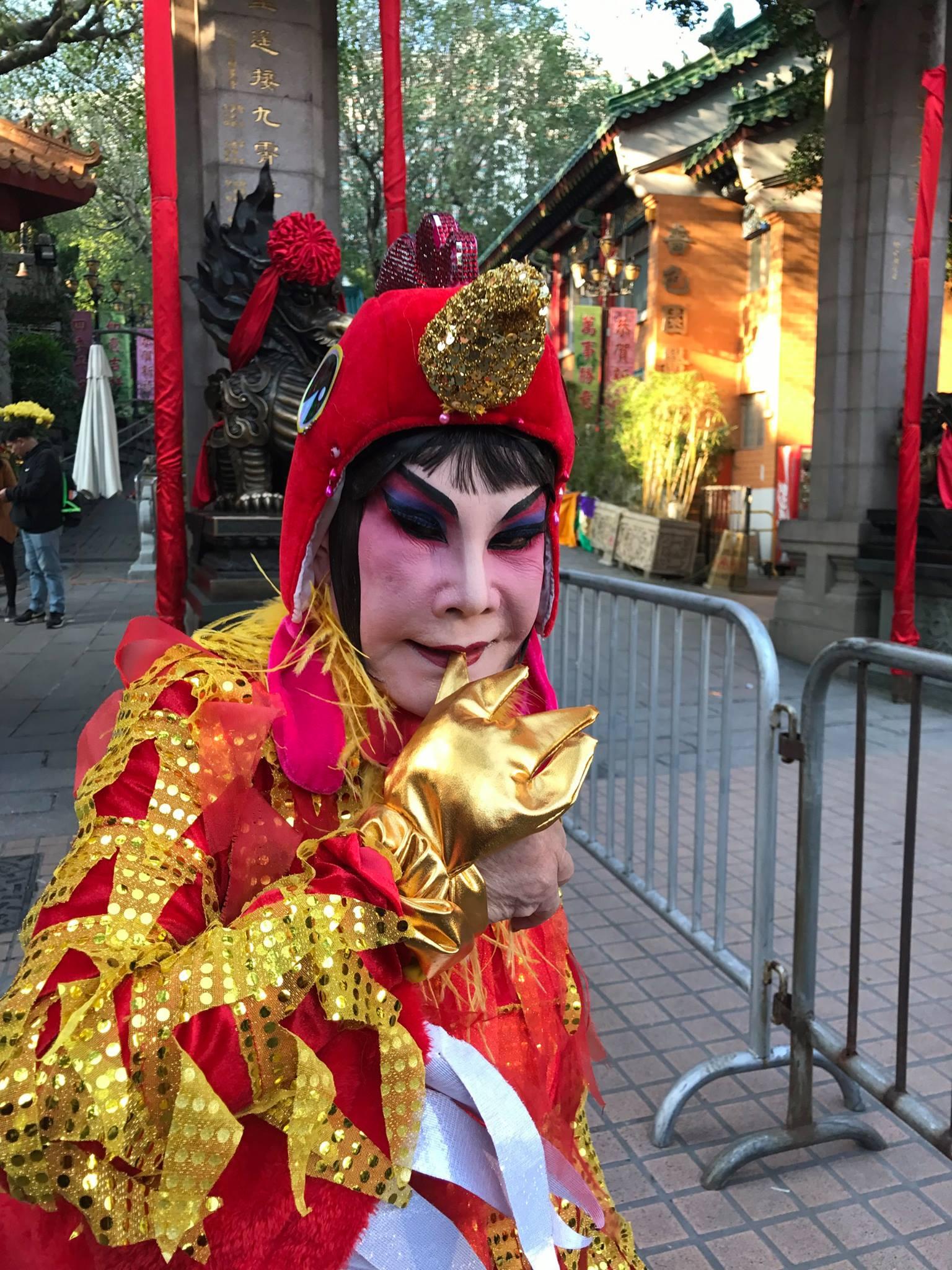 黃夏蕙生肖造型|雞年