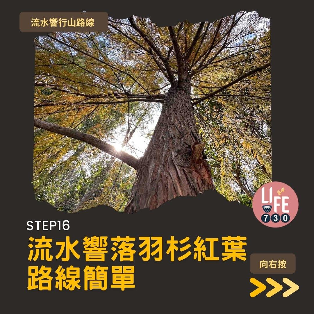 流水響紅葉、天空之鏡等3大景點 零難度行山路線(am730製圖)