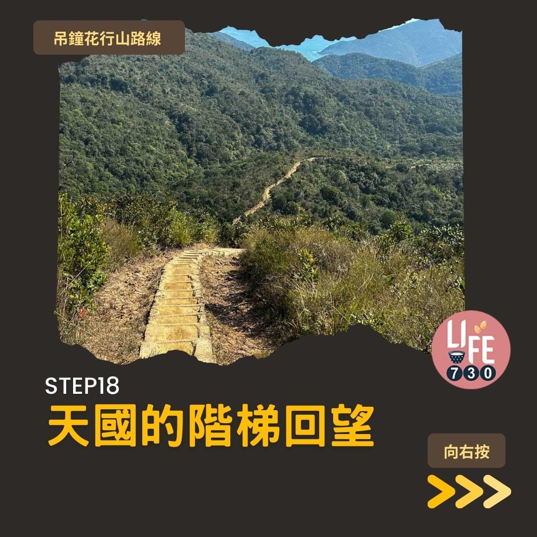 吊鐘花行山路線︱鹿湖郊遊徑大枕蓋農曆新年行大運(am730製圖)