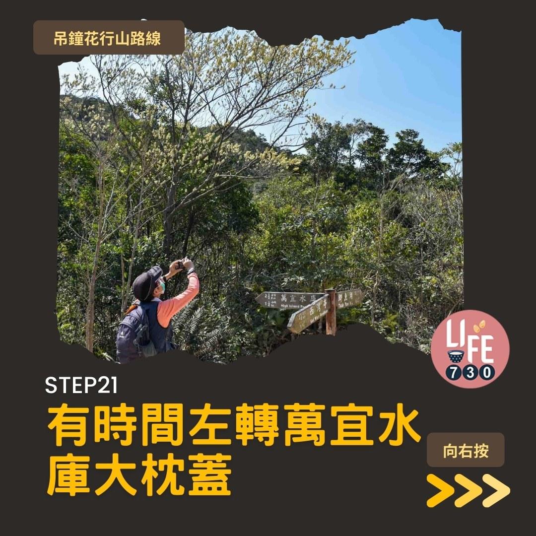 吊鐘花行山路線︱鹿湖郊遊徑大枕蓋農曆新年行大運(am730製圖)