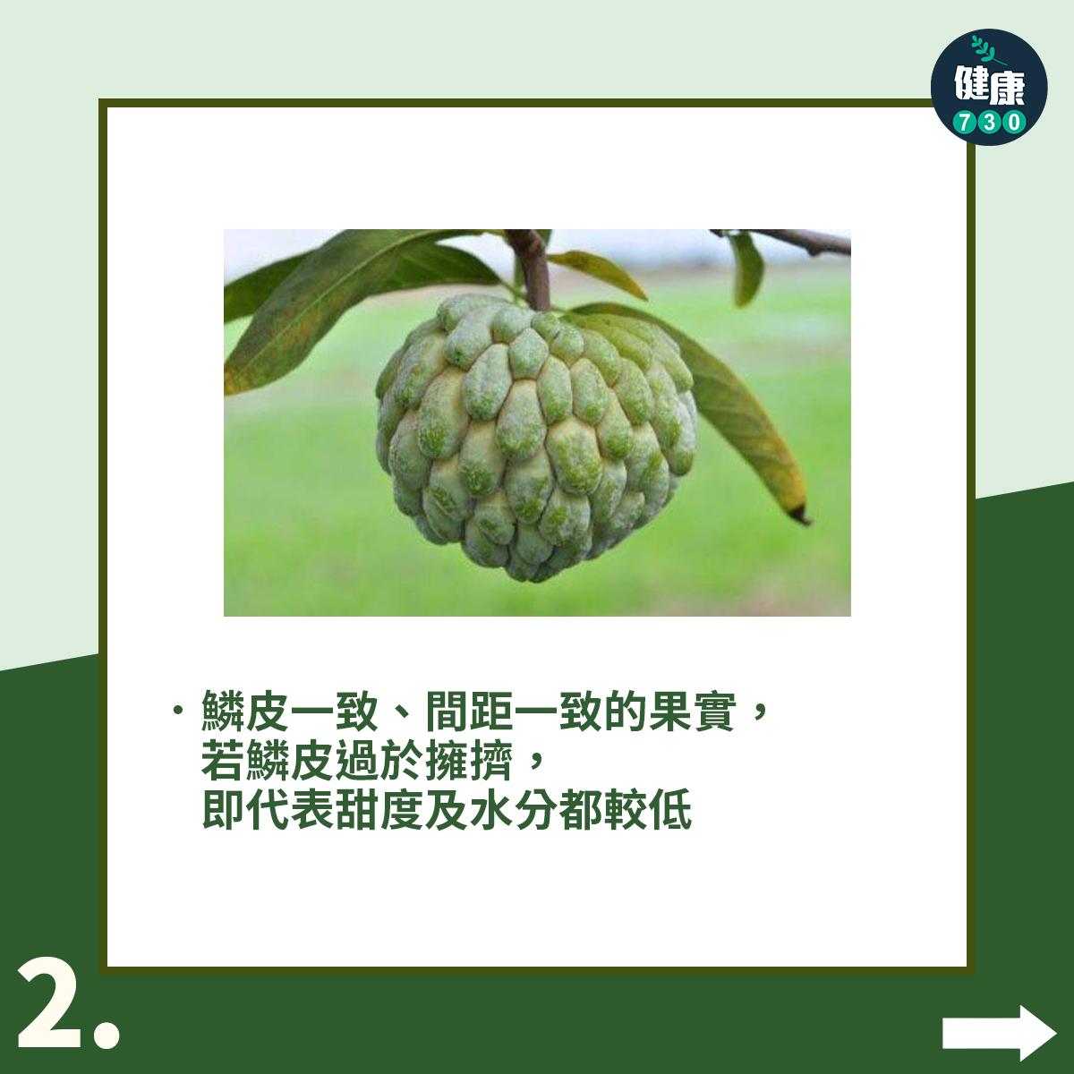 釋迦點揀?5個小貼士教你選中甜美高纖番荔枝(am730製圖)