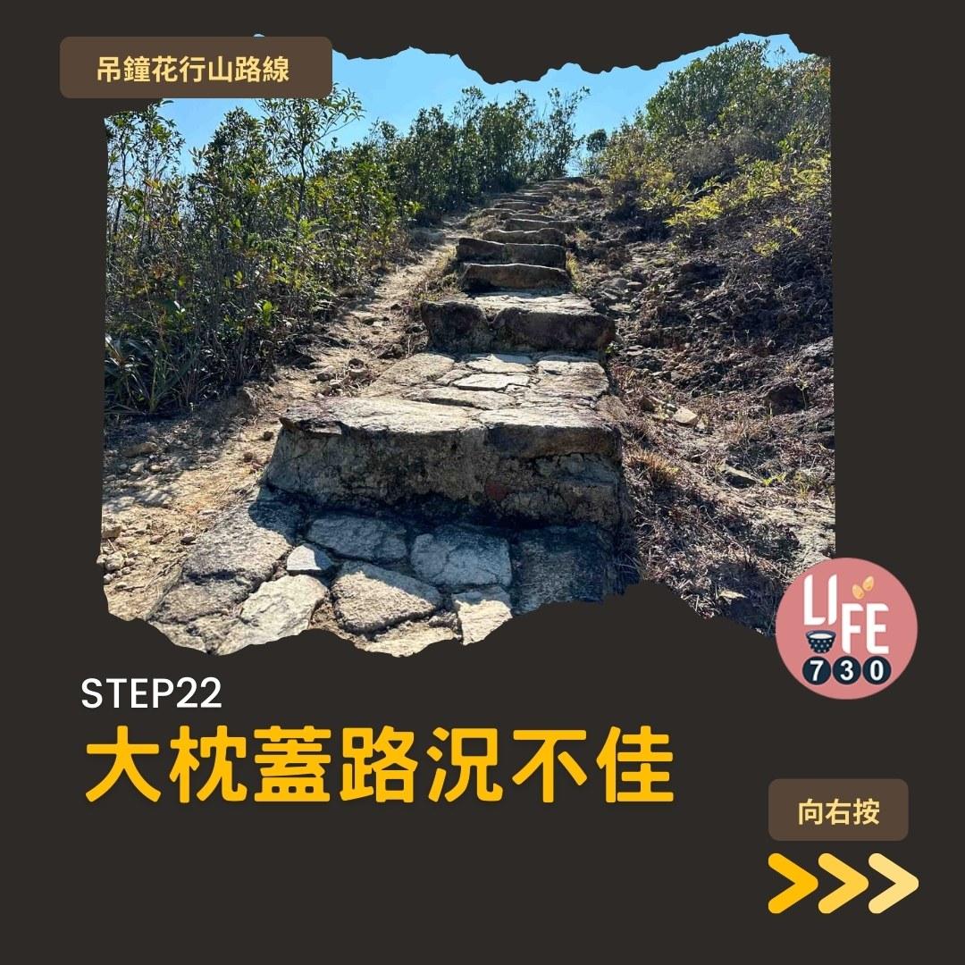 吊鐘花行山路線︱鹿湖郊遊徑大枕蓋農曆新年行大運(am730製圖)